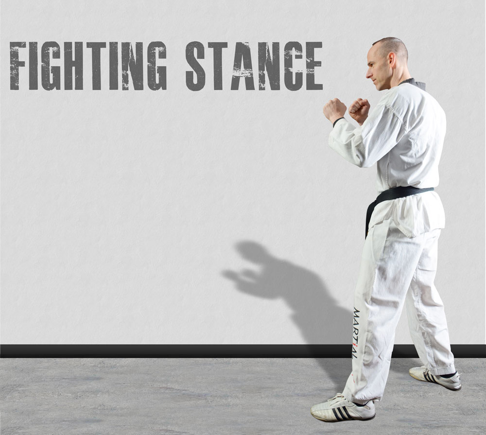 Fighting Stance 1000